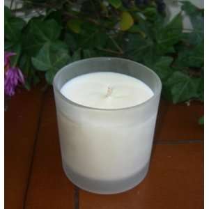  Aromatherapy French Vanilla Soy Canldle with Pure Essential Oils 