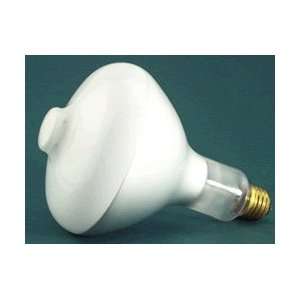   Iwasaki Ge General Electric G.E Iwasaki Light Bulb / Lamp Mercury