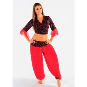  Belly Dancer Costume Set  Harem Pants & Hip Scarf Top 