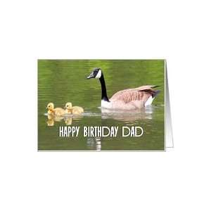  Happy Birthday Dad / Gosling Chicks & Mother Card Health 
