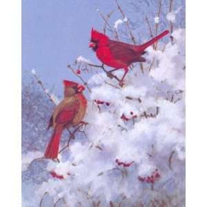  Owen Gromme   Cardinals