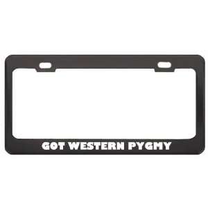 Got Western Pygmy Possum? Animals Pets Black Metal License Plate Frame 