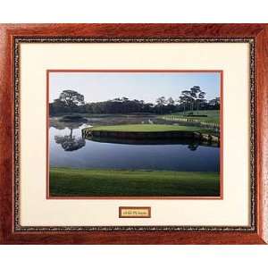  TPC Sawgrass