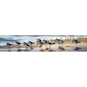 Matthew Hillier   Shoreline Sanderlings 
