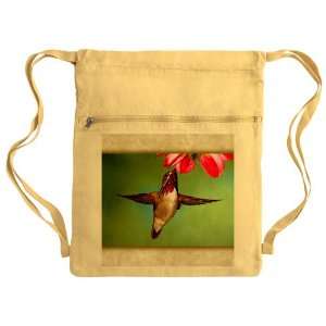   Bag Sack Pack Yellow Male Calliope Hummingbird 