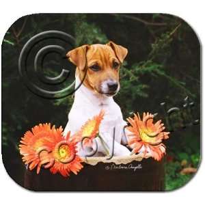   Jack Russell Terrier Mousepad Barbara Augello Collection