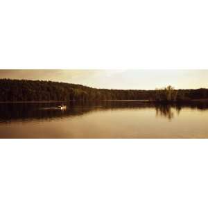  Reflection of Trees in Water, Brown Bridge Pond, Michigan 