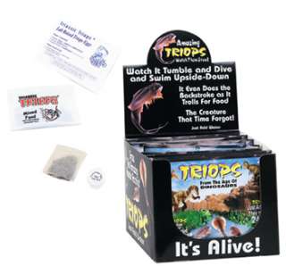 Triops Packet Triassic Sea Creature Grow Triop Eggs  