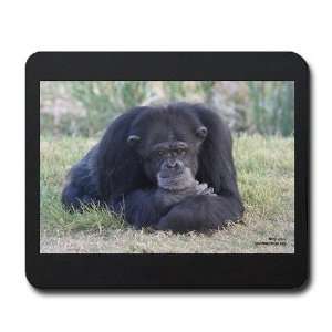  Save the Chimps Amy Chimp Mousepad by  Office 