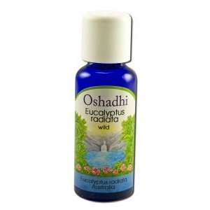     Eucalyptus, Radiata, Wild 30 mL by Oshadhi