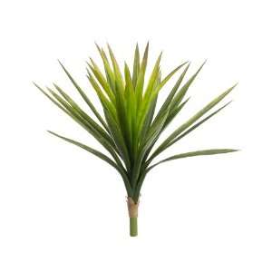  24 Tropical Yucca Plant w/31 Lvs. Green (Pack of 12)