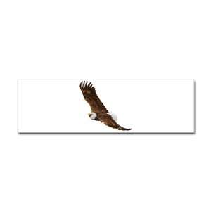  Bumper Sticker Bald Eagle Flying 