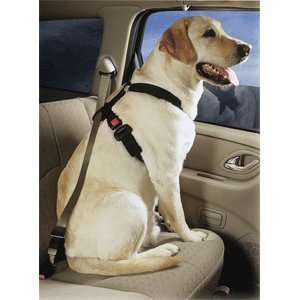  New PetBuckle Universal Travel Harness   One Size Fits All 