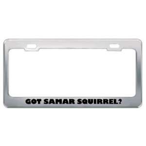  Got Samar Squirrel? Animals Pets Metal License Plate Frame 