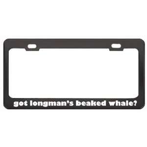 Got LongmanS Beaked Whale? Animals Pets Black Metal License Plate 