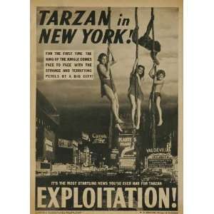  Tarzans New York Adventure   Movie Poster   27 x 40 Inch 