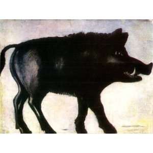 Wild Boar