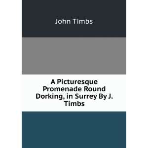   Promenade Round Dorking, in Surrey By J. Timbs. John Timbs Books