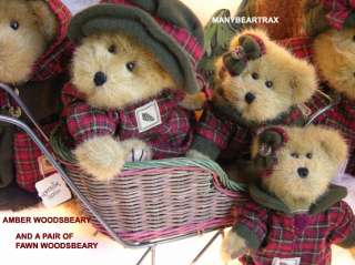 woodsbeary bears have the acorn symbol on their boydswear clothes