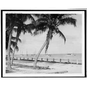  Biscayne Bay,Miami,Fla.