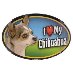  Dog Breed Image Magnet Oval Chihuahua Multi colored Pet 