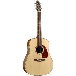   Guitar with Quantum I, Semi Gloss Natural Musical Instruments