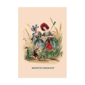  Bleuet et Coquelicot 20x30 poster