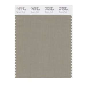  PANTONE SMART 17 1107X Color Swatch Card, Seneca Rock 