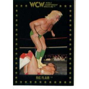   1991 WCW Collectible Wrestling Card #12  Ric Flair