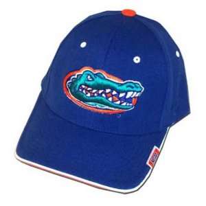   Zephyr Florida Gators Royal Blue Slam Flex Fit Hat