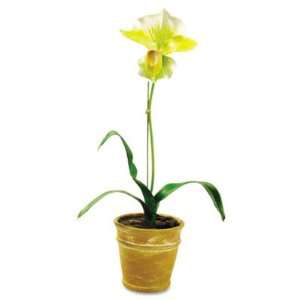 Artificial White Lady Slipper in a Terra Cotta Pot   18 Overall Height 