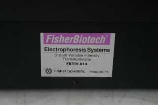 Fisher Biotech Spectroline 312nm Variable Intensity Transilluminator 