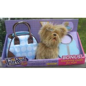  Furreal Friends Teacup Yorkie with Bonus Matching Outfit 