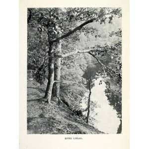 1904 Print River Lugar East Ayrshire Scotland Bank Oak Tree Landscape 