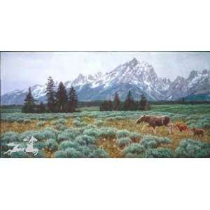  Summer In Tetons (Le) Poster Print