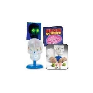  Build a Brain & Skull Model & Book With Glowing Eyes Toys 