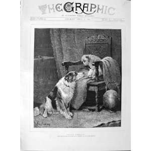    1889 Arthur Batt Fine Art Injured Puppy Dog Animals