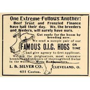  1906 Ad Famous OIC Hogs Breeders L B Silver Company Pig 
