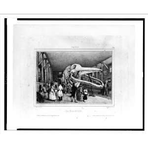  Historic Print (M) La Baleine / V. Adam, inv. et del. ; imp. lith 
