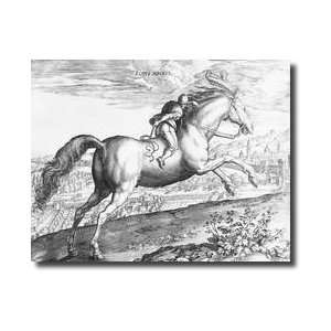  Equus Maurus Giclee Print