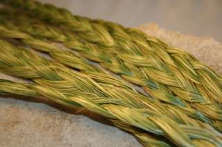 SWEETGRASS Native Smudge Herb Incense Braid 29 30 Inch  
