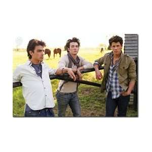  Jonas Brothers Sunshine Poster