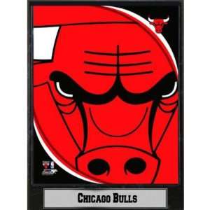  914731   NBA Plaque  2011 Chicago Bulls Logo Case Pack 14 
