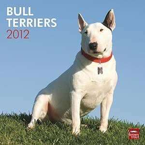  2012 Bull Terriers Calendar