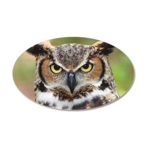    38.5x24.5O Wall Vinyl Sticker Great Horned Owl 