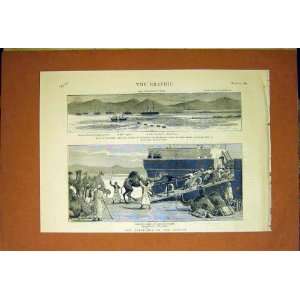  Ships War Vessels Trinkitat Soudan Camels Suez 1884