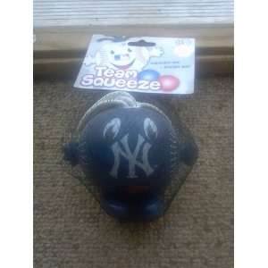   New York Yankees Team Squeeze Squishy Stress Ball