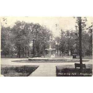   Postcard   View in City Park   Streator Illinois 