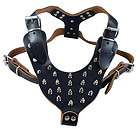 Boxer Spiked Leather Dog Harness Bullterrier Pitbull 26 34 Amstaff