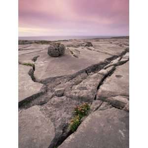 Limestone Rocks Near the Sea at Sunset, the Burren, County Clare 